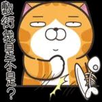 白烂猫   😎😎