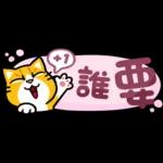 貓爪抓 -小小的你問我答抓-