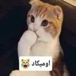 هلين