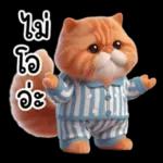 แมวขี้โมโหในชุดนอนสีอ่อน