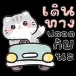 แมวมาร์คัส V.3 : HNY