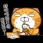 白爛貓11☆超級萌☆