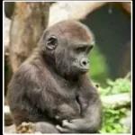 It's really interesting