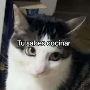 dbQRq7