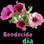 buendia