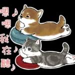 柴柴與貓咪 pack1