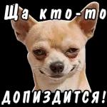 всё я сваливаю