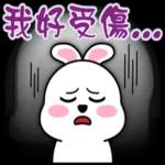 蹦兔聊日常2~~~~