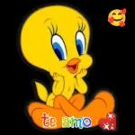 Te amo