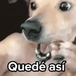 ESPERANDO