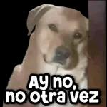 cachondos 