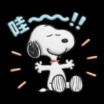 【中文】Snoopy♡立體貼圖