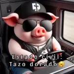 Estado civil: Tazo dorado