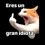 paquete de expresiones diarias de memes