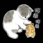 倉鼠 & 貓咪