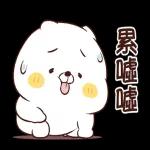 猫咪朋友笑一个