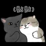 愛撒嬌的奶油小生 (虎斑貓)