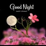 take care my darling😘😘😘🌙