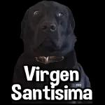 perrito