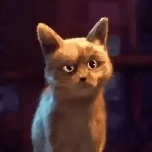 PttUaS