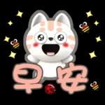 肉圓咪-好用生活貼