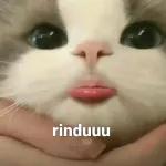 rinduuu
