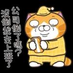 白爛貓45☆打工仔☆