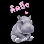 ฮิปโปรักดึงดงบิ๊ก