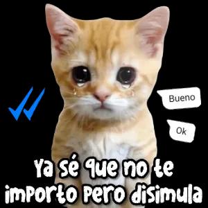 GrJKjB