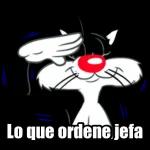 Muy buenos dias