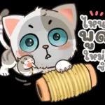 น้องมิน คาบรักมาฝาก