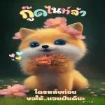 ดาวน์โหลดฟรี