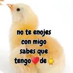 no te enojes con migo sabes que tengo ❤️ de 🐥