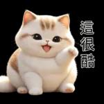 可愛的小肥貓🐱 