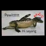 Pewittttt
Angkot bong
Hi sayang