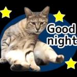 wish you are by my side😘❤️😘❤️