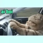 ai boi