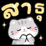 แมวมาร์คัส V.3 : HNY