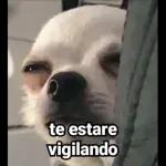 SI AMOR LO QUE TÚ DIGAS