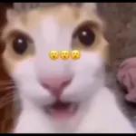 👉🏻👈🏻😦