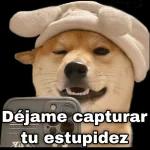Capturar tus estupidez