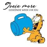 Lekker slaap