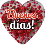 agosto 1 siii 