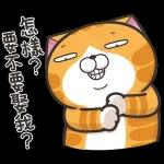 白爛貓11☆超級萌☆