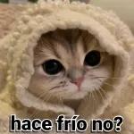 que frío 