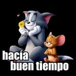 Paquete de expresiones diarias en 3D