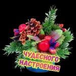 с новым годом