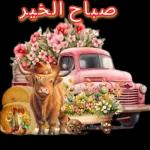 صباح الخير