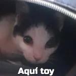 te estoy viendo!! no lo agas