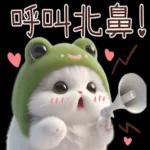 青蛙喵喵♡實用日常